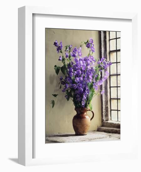 Canterbury Bells-Clay Perry-Framed Photographic Print