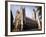 Canterbury Cathedral-David Scherman-Framed Photographic Print