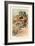 Canthareius Cibarius-William Hamilton Gibson-Framed Art Print