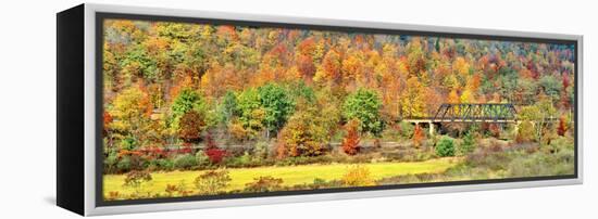 Cantilever bridge and autumnal trees in forest, Central Bridge, New York State, USA-Panoramic Images-Framed Premier Image Canvas