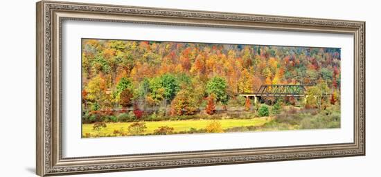 Cantilever bridge and autumnal trees in forest, Central Bridge, New York State, USA-Panoramic Images-Framed Photographic Print