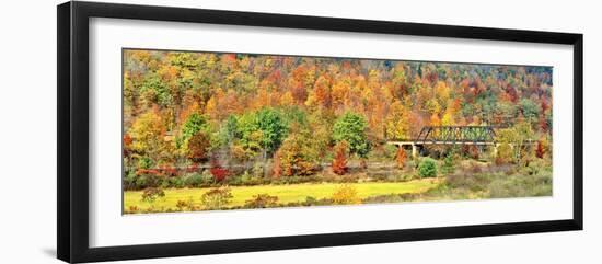 Cantilever bridge and autumnal trees in forest, Central Bridge, New York State, USA-Panoramic Images-Framed Photographic Print