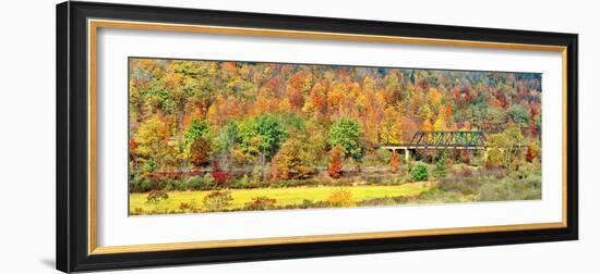 Cantilever bridge and autumnal trees in forest, Central Bridge, New York State, USA-Panoramic Images-Framed Photographic Print