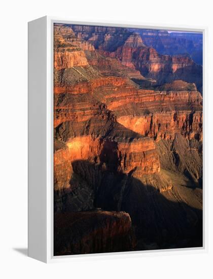 Canyon at Pima Point, Grand Canyon National Park, USA-John Elk III-Framed Premier Image Canvas