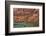 Canyon de Chelly, Chinle, Arizona, USA.-Michel Hersen-Framed Photographic Print