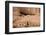 Canyon De Chelly National Monument, Arizona, United States of America, North America-Richard Maschmeyer-Framed Photographic Print