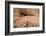 Canyon De Chelly National Monument, Arizona, United States of America, North America-Richard Maschmeyer-Framed Photographic Print