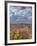 Canyon de Chelly National Monument-Don Paulson-Framed Giclee Print