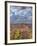 Canyon de Chelly National Monument-Don Paulson-Framed Giclee Print