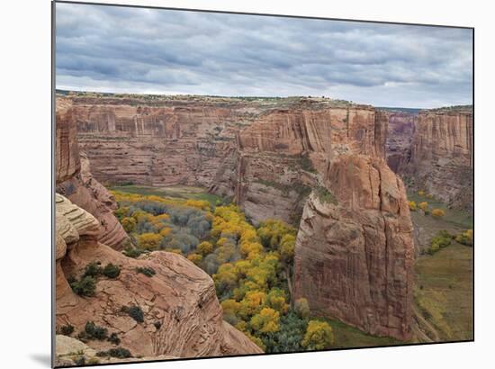 Canyon de Chelly National Park II-Don Paulson-Mounted Giclee Print