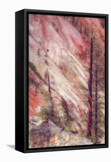 Canyon Detail, Yellowstone-Vincent James-Framed Premier Image Canvas