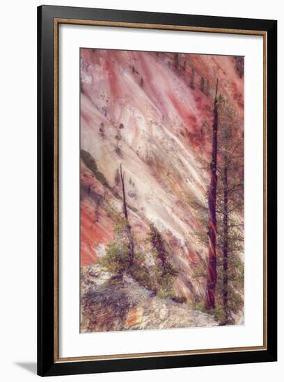 Canyon Detail, Yellowstone-Vincent James-Framed Photographic Print