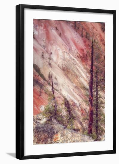 Canyon Detail, Yellowstone-Vincent James-Framed Photographic Print