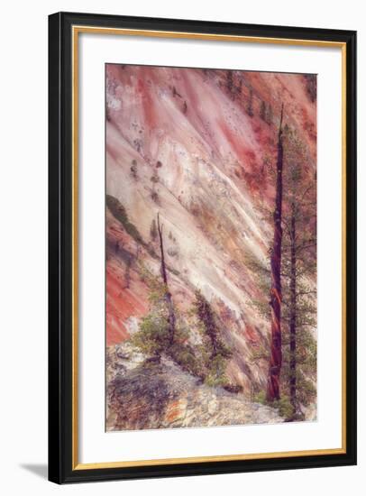 Canyon Detail, Yellowstone-Vincent James-Framed Photographic Print