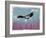 Canyon Eagle, 2014-Nancy Moniz-Framed Giclee Print