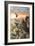 Canyon Hunters-Trevor V. Swanson-Framed Giclee Print