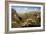 Canyon in Isalo National Park at Sunset, Ihorombe Region, Southwest Madagascar, Africa-Matthew Williams-Ellis-Framed Photographic Print