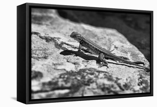 Canyon Land 19-Gordon Semmens-Framed Premier Image Canvas