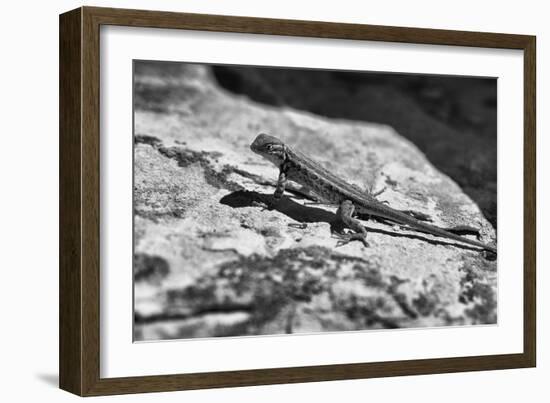 Canyon Land 19-Gordon Semmens-Framed Photographic Print