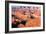 Canyon Lands IV-Ike Leahy-Framed Photographic Print