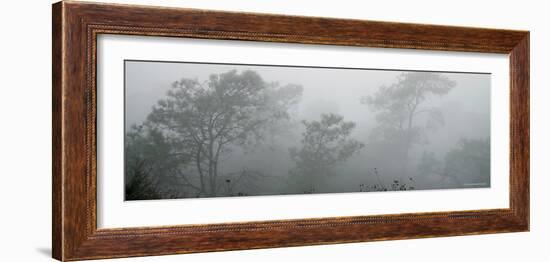 Canyon Mist I-Nicole Katano-Framed Photo