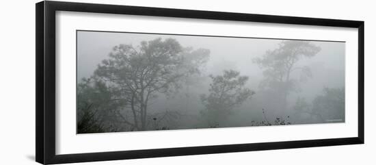 Canyon Mist I-Nicole Katano-Framed Photo