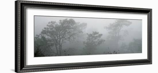 Canyon Mist I-Nicole Katano-Framed Photo