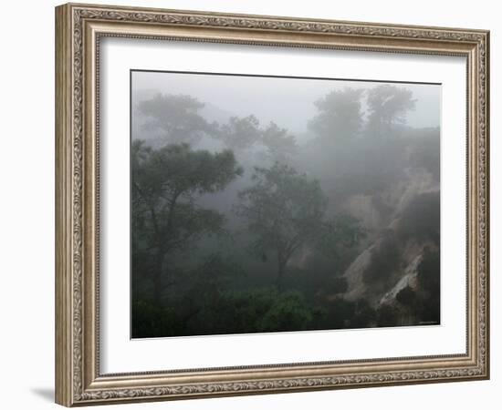 Canyon Mist II-Nicole Katano-Framed Photo