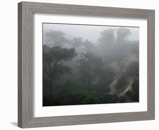 Canyon Mist II-Nicole Katano-Framed Photo