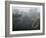 Canyon Mist II-Nicole Katano-Framed Photo