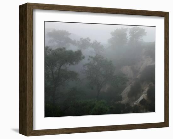 Canyon Mist II-Nicole Katano-Framed Photo