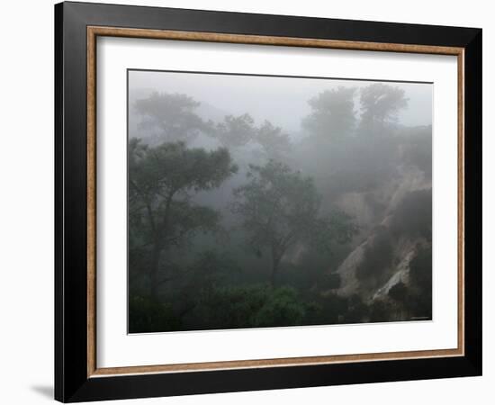 Canyon Mist II-Nicole Katano-Framed Photo