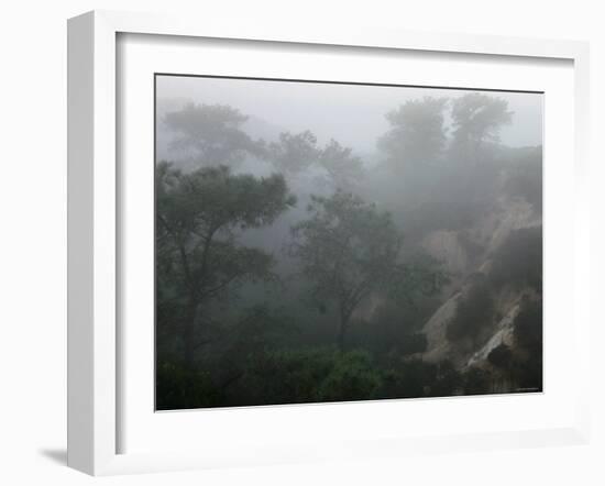 Canyon Mist II-Nicole Katano-Framed Photo