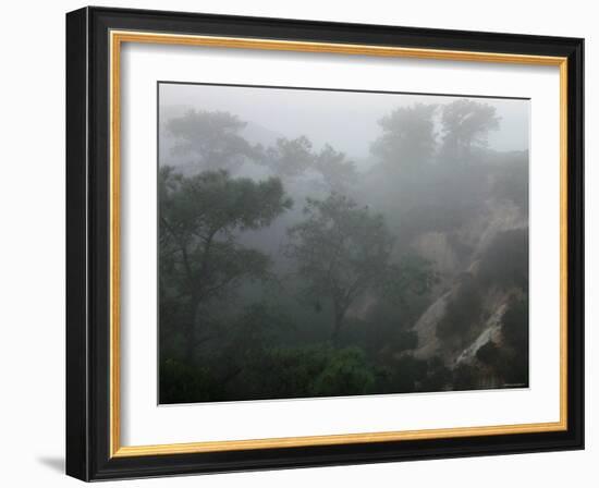 Canyon Mist II-Nicole Katano-Framed Photo