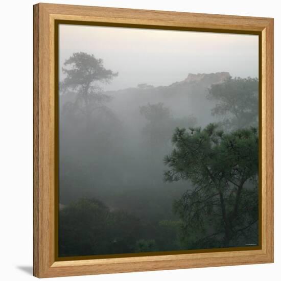 Canyon Mist III-Nicole Katano-Framed Stretched Canvas