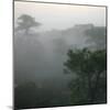 Canyon Mist III-Nicole Katano-Mounted Photo