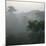 Canyon Mist III-Nicole Katano-Mounted Photo