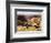 Canyon Mustangs-unknown Leone-Framed Art Print