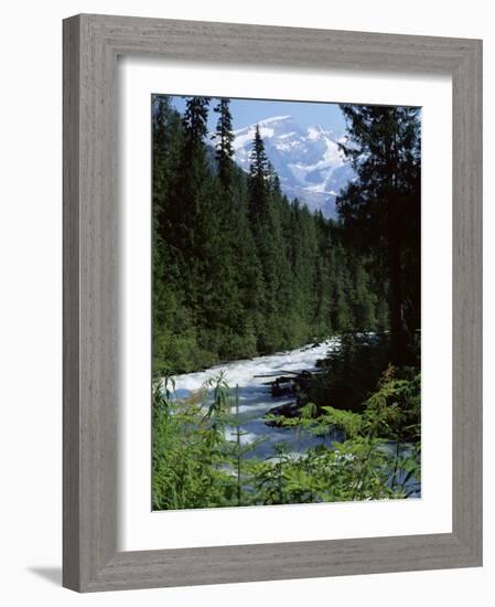 Canyon of the Fraser River, British Columbia (B.C.), Canada-Ruth Tomlinson-Framed Photographic Print