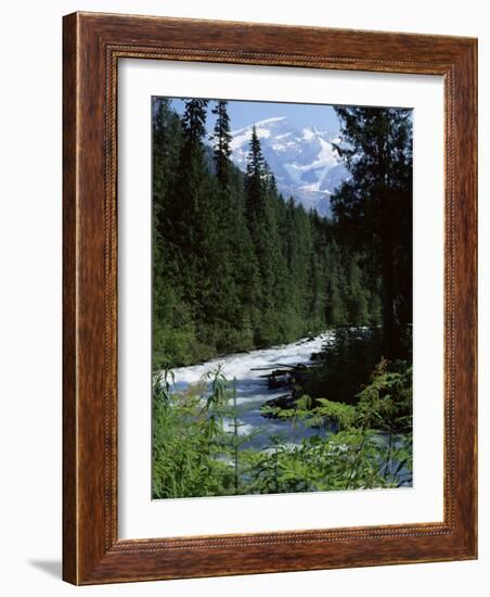 Canyon of the Fraser River, British Columbia (B.C.), Canada-Ruth Tomlinson-Framed Photographic Print