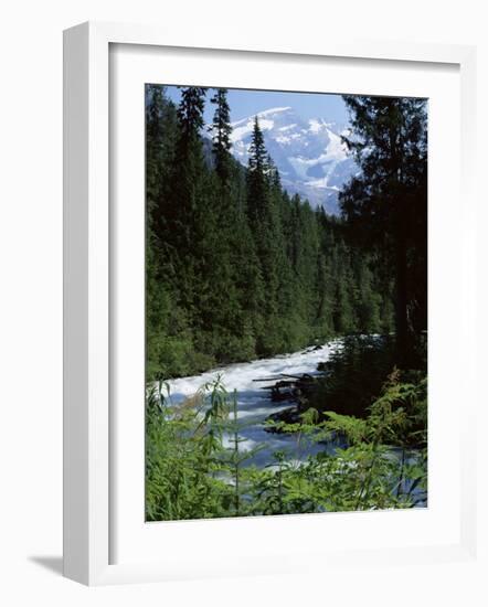 Canyon of the Fraser River, British Columbia (B.C.), Canada-Ruth Tomlinson-Framed Photographic Print