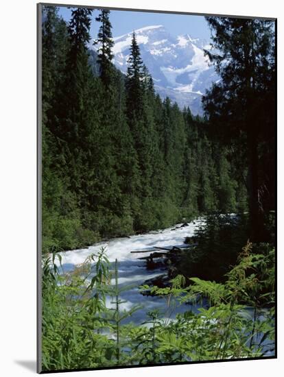 Canyon of the Fraser River, British Columbia (B.C.), Canada-Ruth Tomlinson-Mounted Photographic Print