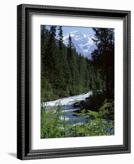 Canyon of the Fraser River, British Columbia (B.C.), Canada-Ruth Tomlinson-Framed Photographic Print