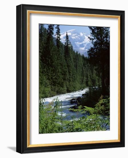 Canyon of the Fraser River, British Columbia (B.C.), Canada-Ruth Tomlinson-Framed Photographic Print