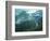 Canyon of the Russel Fork, River Breaks Interstate State Park, Virginia, USA-Charles Gurche-Framed Photographic Print