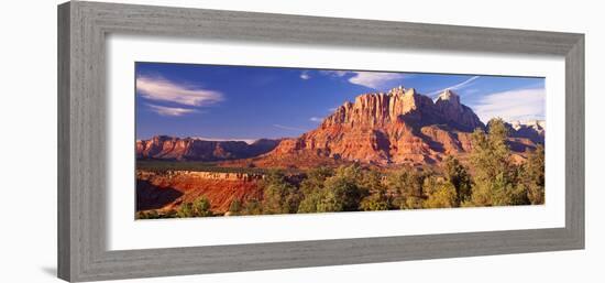 Canyon Surrounded with Forest, Escalante Canyon, Zion National Park, Washington County, Utah, USA-null-Framed Photographic Print