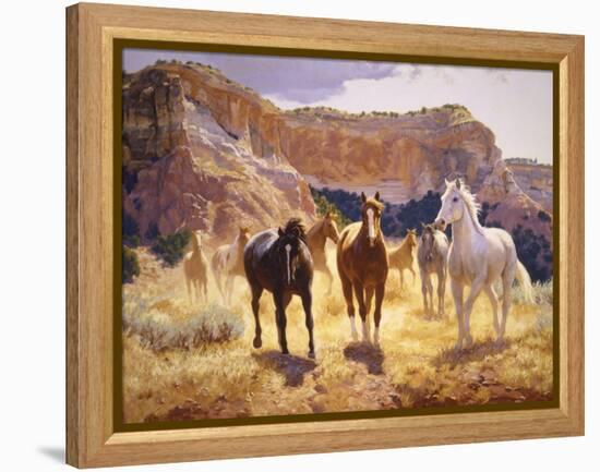 Canyon Trails-Claire Goldrick-Framed Stretched Canvas