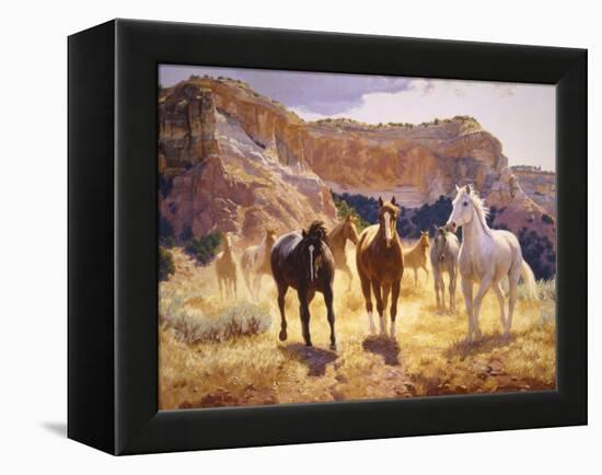 Canyon Trails-Claire Goldrick-Framed Stretched Canvas