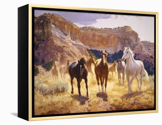 Canyon Trails-Claire Goldrick-Framed Stretched Canvas