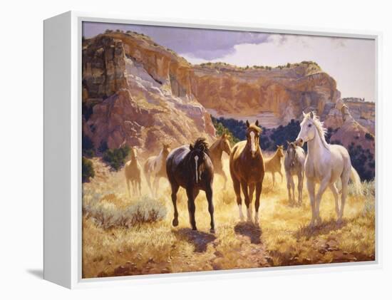 Canyon Trails-Claire Goldrick-Framed Stretched Canvas